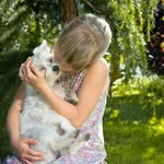 Stacy Strobel - @stacystrobel532 - Instagram