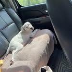 Stacy Suddeth - @stacysuddeth - Instagram