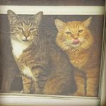 Stacy Syverson - @spacecat78 - Instagram