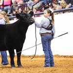 Stacy Thiel Eckert - @eckertstacy - Instagram