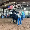Stacy Thiel Eckert - @stacy.thiel.ecker - TikTok