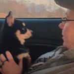 Stacey Thurman - @staceyanddante - Instagram