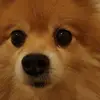 Stacy Thurman - @stacy.thurman8 - TikTok