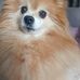 Stacy Thurman - Facebook