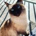 Stacy Trickett - Facebook