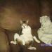 Stacy Merrill Utterback - Facebook