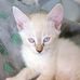 Stacy Utterback - Facebook