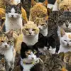 Stacy Valencia - @stacy.valencia2 - TikTok