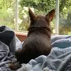 stacy venable - @stacy.venable - TikTok
