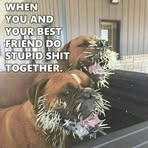 Stacy Venable-Rice - Facebook