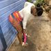 Stacy Walker - Facebook