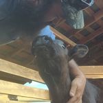 Stacy Walker - @iphonefarmer - Instagram
