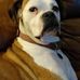 Stacy Wall - Facebook