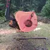 Stacy Wallington - @stacy.wallington - TikTok
