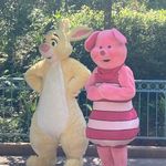 Stacey Wallis - @staceywallis57 - Instagram