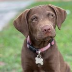 Stacy Warren - @stacy.warren.716 - Instagram