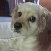 stacywarren377 - @stacywarren377 - TikTok