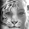 Stacy Weaver - @stacyweaver - TikTok