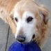 Stacie Weidner Carrithers - Facebook