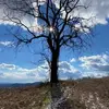 stacyweidner7 - @stacyweidner7 - TikTok