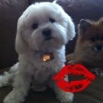 Stacy Weiner Fried - @stacfried - Instagram