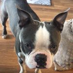 Stacey Weller - @staceyweller1 - Instagram