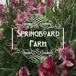 Stacey Reding & Berry Wenzel - @springboardfarm - Instagram