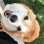 Stacey Wenzel Shanley - @scshanley - Instagram