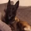 Stacey Whitehouse - @stacey.whitehouse - TikTok