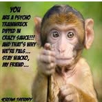 Stacy Whitehouse - Facebook