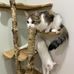 Stacy Whitty - Facebook