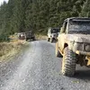 Stacey Wilkins - @stacey.wilkins38 - TikTok