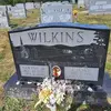 Stacy Wilkins - @stacy.wilkins - TikTok