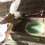 Stacy Winger - @stacy.winger - Instagram