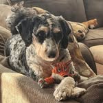 Stacy Wingard - @swingard09 - Instagram