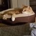 Stacy Riethmiller Wingate - Facebook