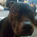 Stacy Wingate - Facebook