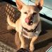 Stacy Wiseman - Facebook