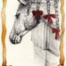 Stacy Withall - Facebook