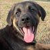 Stacey Davis Womble - Facebook