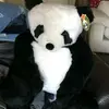 stacy - @stacy_ager - TikTok