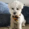 Stacy Kehoe Zahn - @stacykehoezahn - TikTok