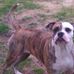 Stan Aiken - Facebook