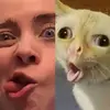 STAN BEAN - @zenastansbillie - TikTok