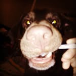Stan Bean - @stanbean6 - Instagram