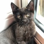 Stan Bell - @sbell.07 - Instagram