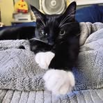 Stan Bennett - Facebook