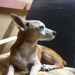Stan Bennett - Facebook