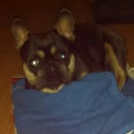 stanley briggs - @stanley._.briggs - Instagram