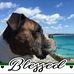 Stan Burgess - Facebook